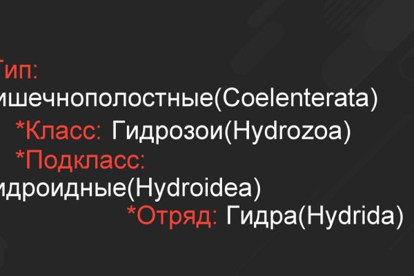 Кракен плейс