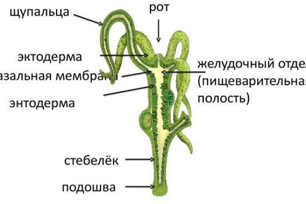 Официальная ссылка на кракен в тор