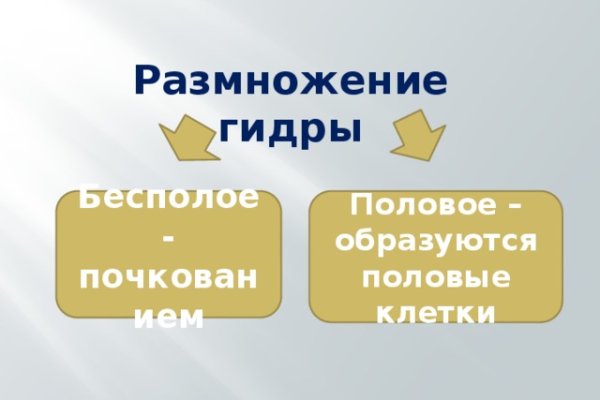 Кракен упал