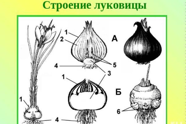 Кракен открылся